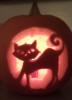 spatterncat4 - Boo! 750+ Free Pumpkin Stencil Patterns You Can Try