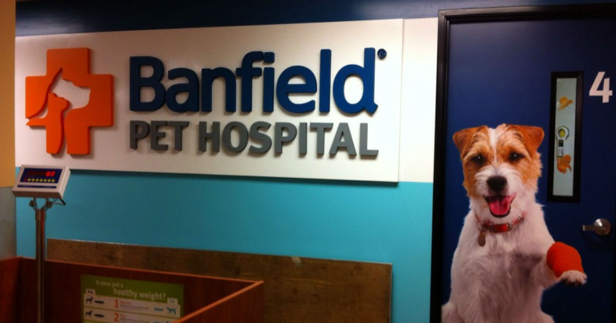 1622483992 532 link redirect - Banfield Pet Hospital - Free Office Visit & Consultation