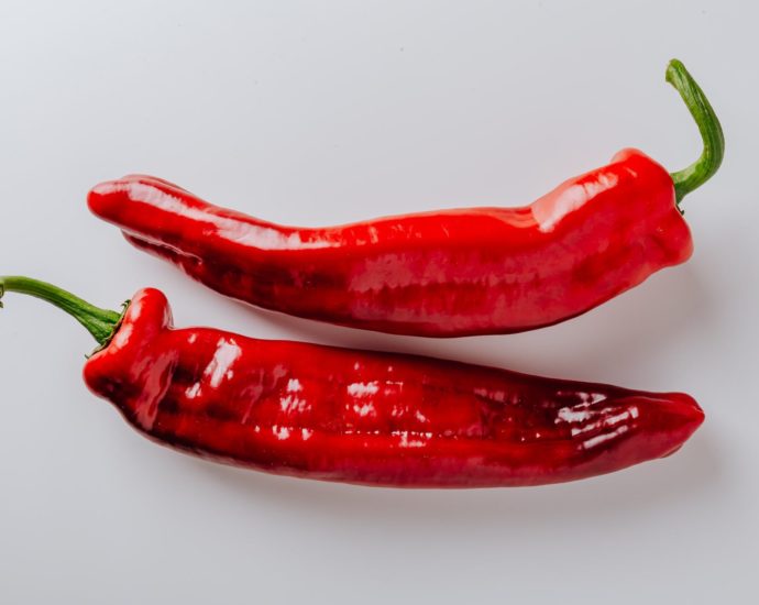 red chili pepper on white background