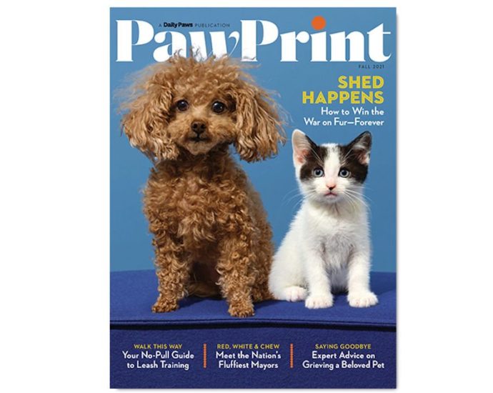 Paw Print Magazine