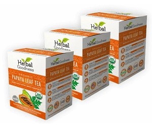 papaya leaf 1 - FREE Papaya Leaf Tea Sample from Herbal Goodness (FIRST 1,000)